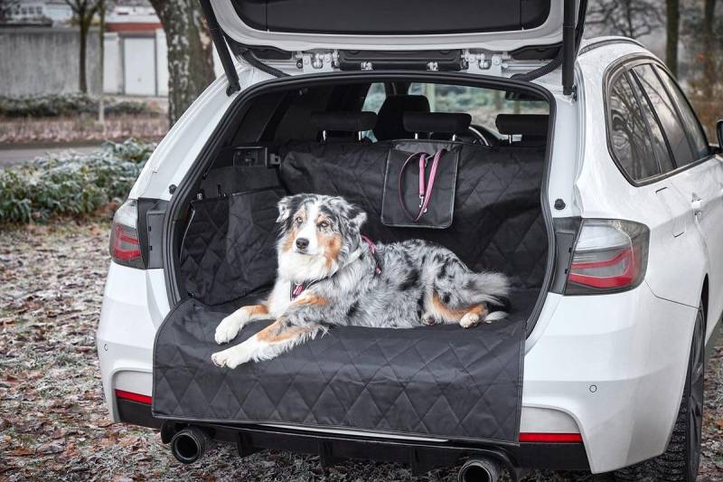 WOLTERS Clean Car Kofferraumdecke mit Stoßstangenschutz von WOLTERS