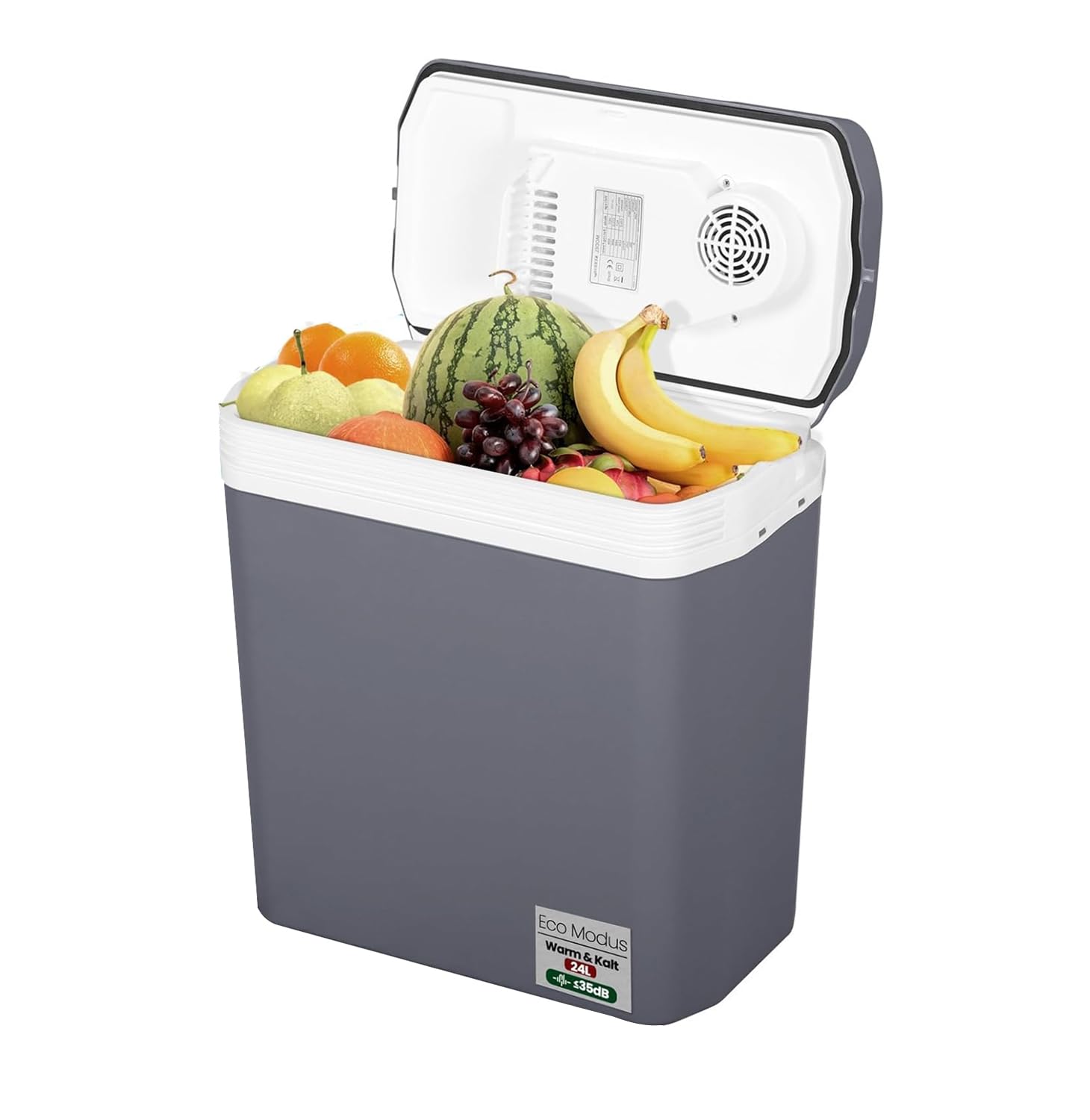 WOLTU Elektrische Kühlbox 24L zum Kühlen und Warmhalten Mini Kühlschrank Isolierbox 12V & 230V für Auto und Steckdose Grau von WOLTU