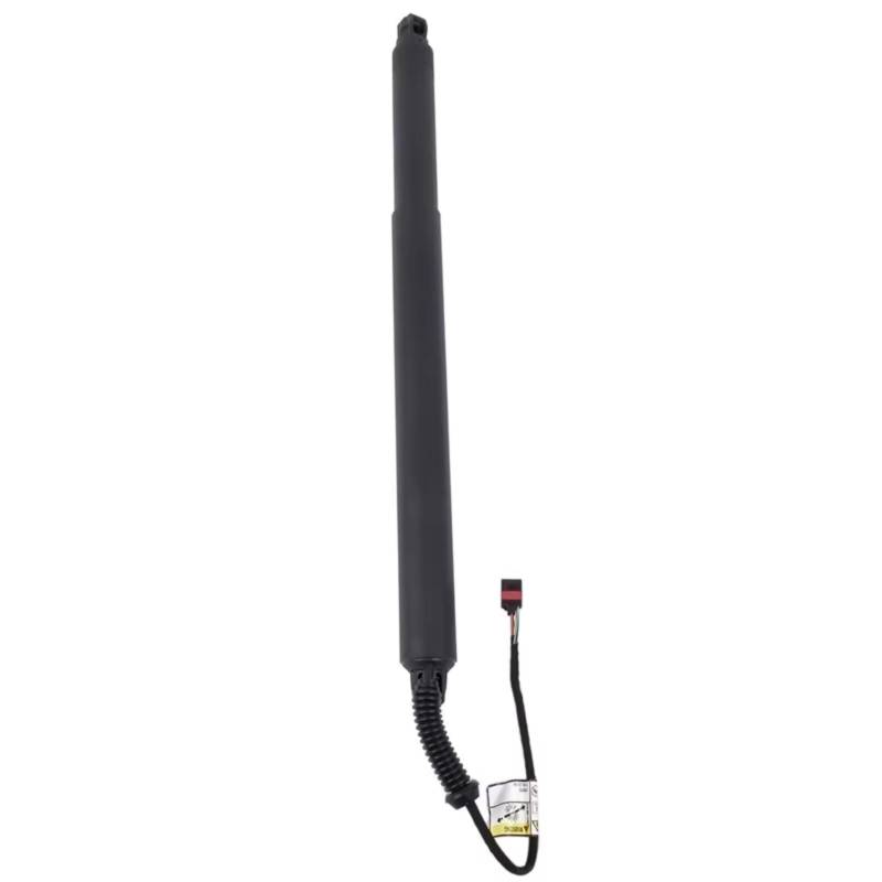 WOLWES Heckklappe Gasdruckfeder Kompatibel Mit Ford Für Explorer 2011 2012 2013 2014 2015, Links Und Rechts Angetriebene Hubstrebe, Heckklappe, Unterstützt BB5Z78406A10B(1 Left) von WOLWES