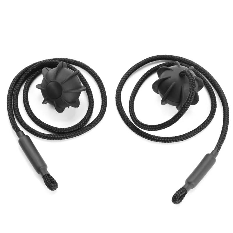 WOLWES Kompatibel Mit Lexus Für Is220d Nx300h Ct200h 2 Stück Auto Heckklappe Kofferraum Hutablage String Cord Tonneau Cover Strap Cord Seil Teil Halteband Hutablage von WOLWES