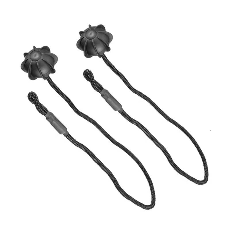 WOLWES Kompatibel Mit Mazda Für Atenza Für Allegro 2 Stück Auto Heckklappe Kofferraumablage Hutablage String Cord Tonneau Cover Strap Innenteil Halteband Hutablage von WOLWES
