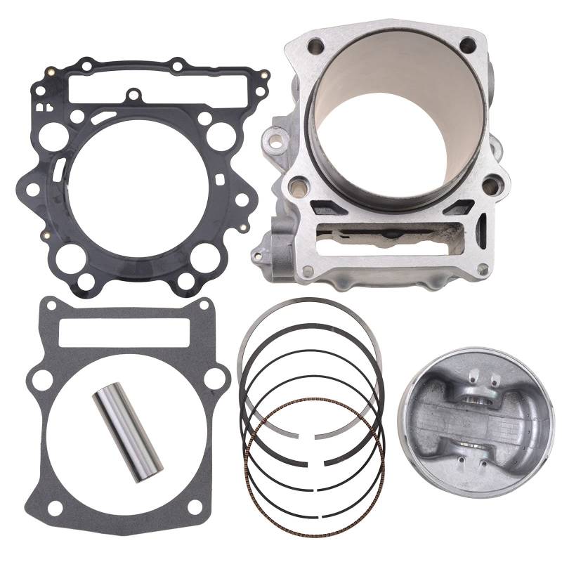 WOOSTAR 102mm Groß Bohrung Zylinder mit Kolbenring Kit Ersatz für Grizzly 660 700 2002-2008 Rhino 660 2004-2007 Raptor 660R YFM660 UTV ATV 4 Wheeler Quad von WOOSTAR