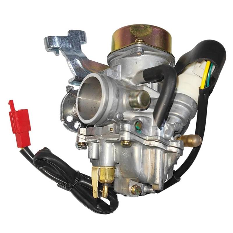 WQSDFGK Motorcycle Carburetor Kompatibel Mit Buyang 300cc D300 G300 30mm Vergaser-Kit Ersatzvergaser Mit Filter Choke Kit Carb Ersatz von WQSDFGK