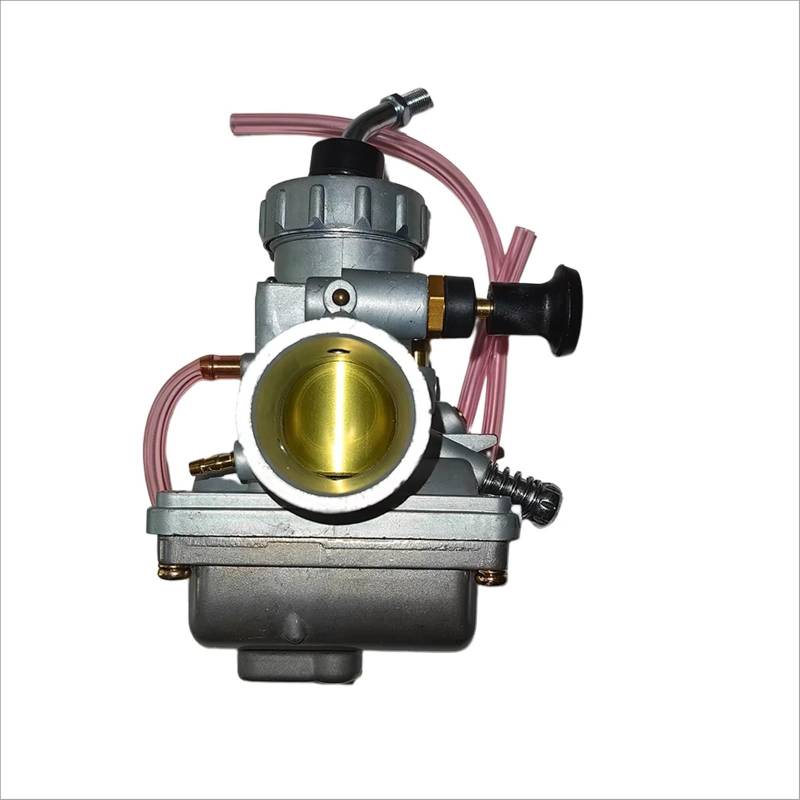 WQSDFGK Motorcycle Carburetor Kompatibel Mit Polaris Für Trail Boss 250 2x4 4x4 1989 1990 1991 1992 1993 1994 1995 1996 1997 1998 1999 Vergaser Luftfilter Kraftstofffilter von WQSDFGK