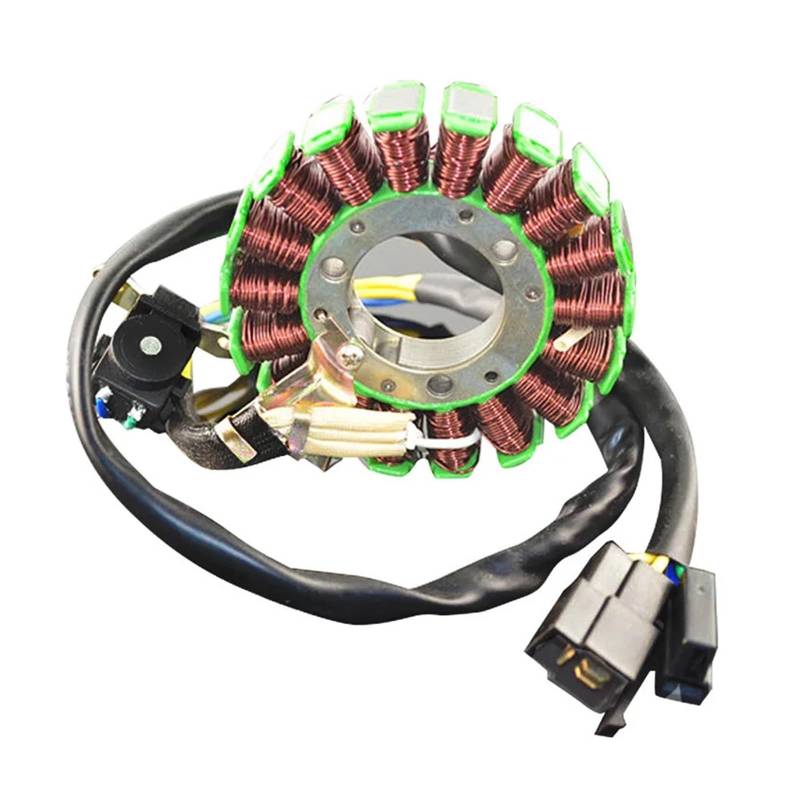 Motorrad Stator Spule Comp for DR200 DR 200 1995-2013 DF200 DF 200 1996 1997 1998 1999 2000 von WSULQKOG