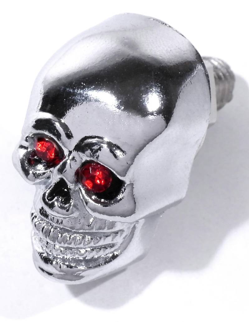 WTMT Totenkopf-Kennzeichenschrauben Verchromte Schrauben mit roten Augen für Kennzeichen und Custom-Projekte von WTMT
