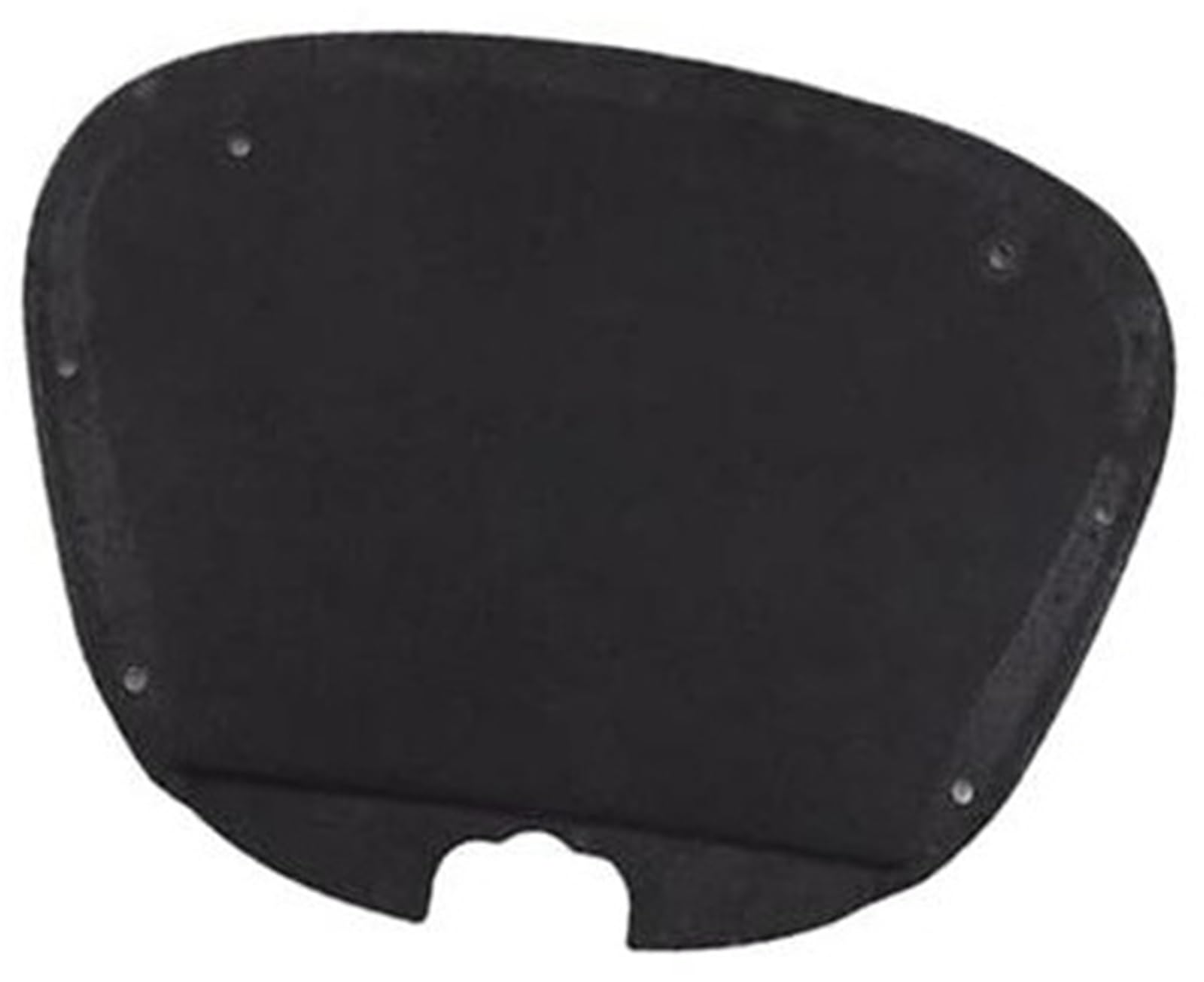WUPEDI for Tesla, for Modell 3 2021 2022 Vordere Kofferraumabdeckung Deck Schalldämmung Stoßfestes Brett Baumwolle Motor-Hitzeschutzmatte WUPEDI for Tesla, for Modell 3 2021 2022 Vordere Kofferraumabdeckung Deck Schalldämmung Stoßfestes Brett Baumwolle Motor-Hitzeschutzmatte von WUPEDI