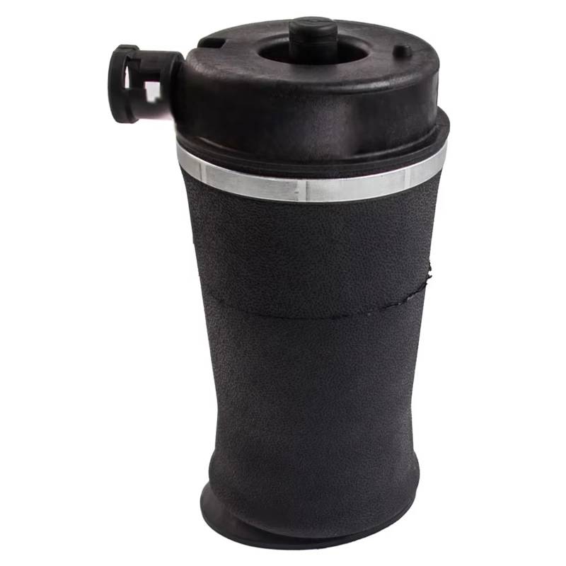 WUYDKEL Luftfederung Federtaschen Kompatibel Mit Ford Für Expedition 4WD Luftfederung Hinten Für Federtasche F75Z5A891BE F75Z 5A891 BE 3U2Z-5580-LA 3U2Z5580LA von WUYDKEL