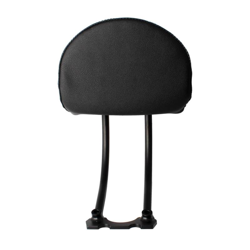 Motorrad-Heckträger Motorrad Schwarz für Sissy Bar Hinten Passagier Rückenlehne Kit W/Hardware für Harley Sportster S RH1250S 2022 2021 von WXSSH