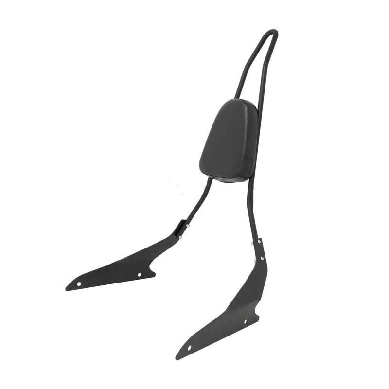 Motorrad-Heckträger Motorrad für Sissy Bar Rückenlehne für Suzuki Boulevard M109R 2006-2020 M109R2 2008-2009 M109RZ 2007-2011 M109R Limited Edition(Schwarz) von WXSSH