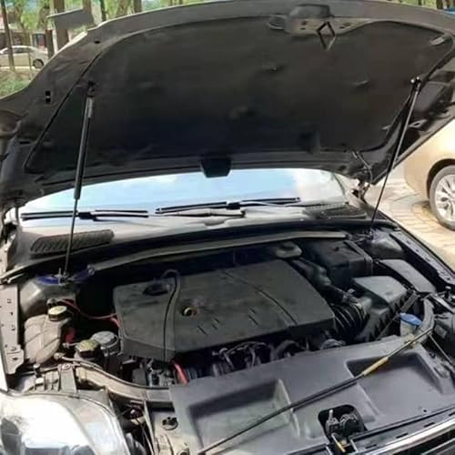 WXSSH Hydraulischer Federspreizer Für BMW E39 525i 528i 530i 540i 1997-2003 Auto Motorhaube Lift Unterstützung Schock Federbeine Vorne für Motor Abdeckung frühling von WXSSH