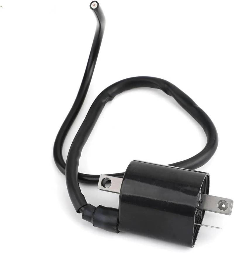 WXSSH Kill Switch Spule Für Yamaha Für Virago XV 535 XV535 1987-1988 1990-1994 1995 1996 1997 1998 1999 2000 Motorrad Zündung Spule von WXSSH