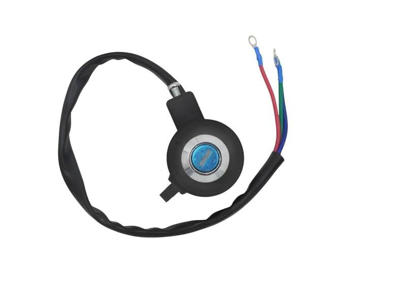 WXSSH Kill Switch Spule Motorrad Zündung Für Harley Für Sportster XL883 Für Roadster Für Custom 1995-2003 von WXSSH