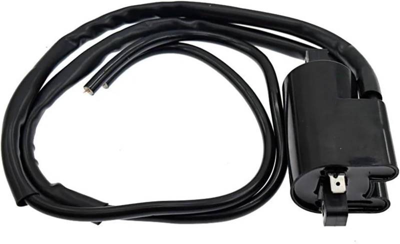 WXSSH Kill Switch Spule Motorrad Zündung Für Yamaha FZ6 FZ600 FZR600 FZR600R FZS600 Für Fazer von WXSSH