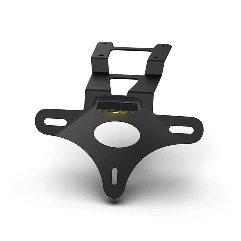 Motorrad Kennzeichenhalter Für CRF450L Für CRF450RL 2019-2022 2023 2024 2025 Kennzeichenhalter Halterung Heckklappe Fender Eliminator Motorrad(B) von WYLWSHA