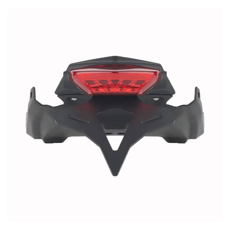 Motorrad Kennzeichenhalter Für F900 R Für F900R 2020- Motorrad Hinten Kurze Schwanz Integrierte Licht Rahmen Kennzeichen Rack Schwanz Rahmen Halterung(B) von WYLWSHA