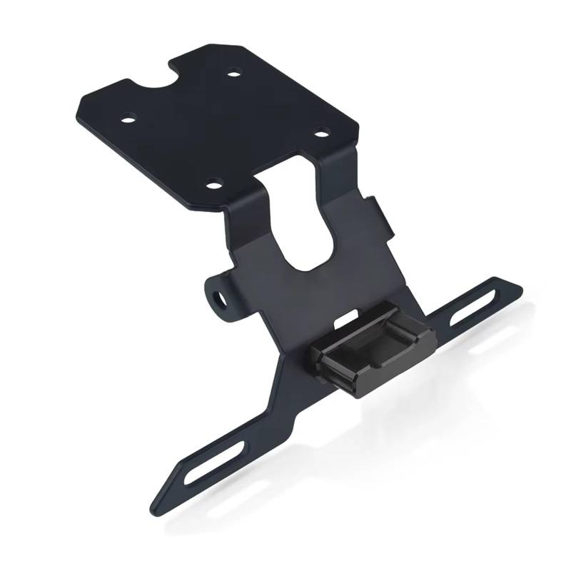 Motorrad Kennzeichenhalter Für YZF R15 V3 2017 2018 2019 2020 Motorradzubehör Kennzeichenhalter Heckrahmen Fender Eliminator Halterung(D) von WYLWSHA