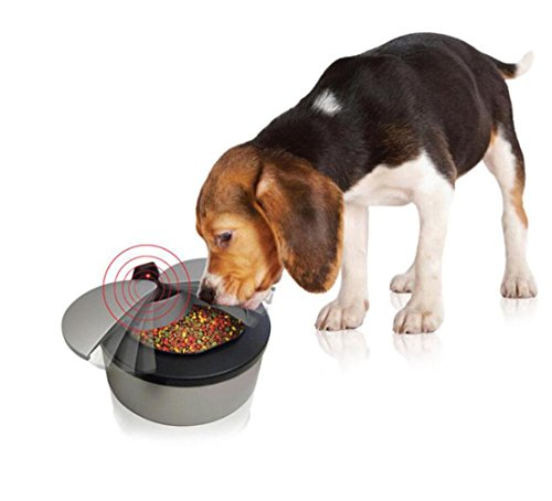 WYXIN Infrarot automatische Sensor Haustier Feeder Mahlzeit Haustier Hund Katze Timing Feeder Essen Schüssel von WYXIN