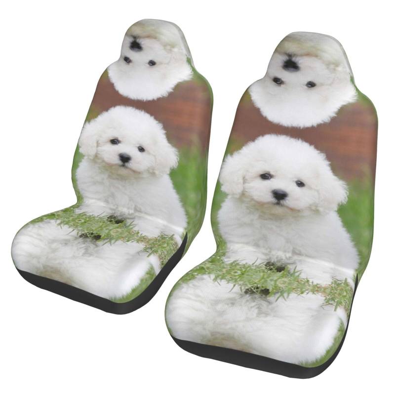 WYYDPPLK Bichon Frisé-Hunde-Autositzbezüge mit Volldruck-Design, strapazierfähiges Polyester-Material, einfach zu installieren und zu reinigen, universelle Passform für Autos, SUVs, LKWs von WYYDPPLK