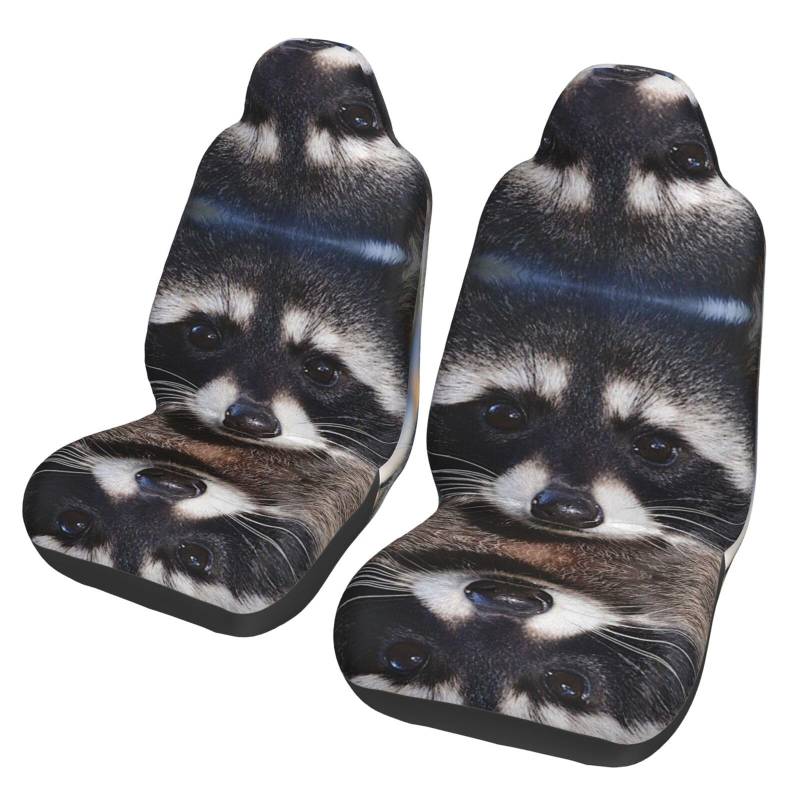 WYYDPPLK Little Raccoon Face Autositzbezüge mit Volldruck-Design, strapazierfähiges Polyester-Material, einfach zu installieren und zu reinigen, universelle Passform für Autos, SUVs, LKWs von WYYDPPLK
