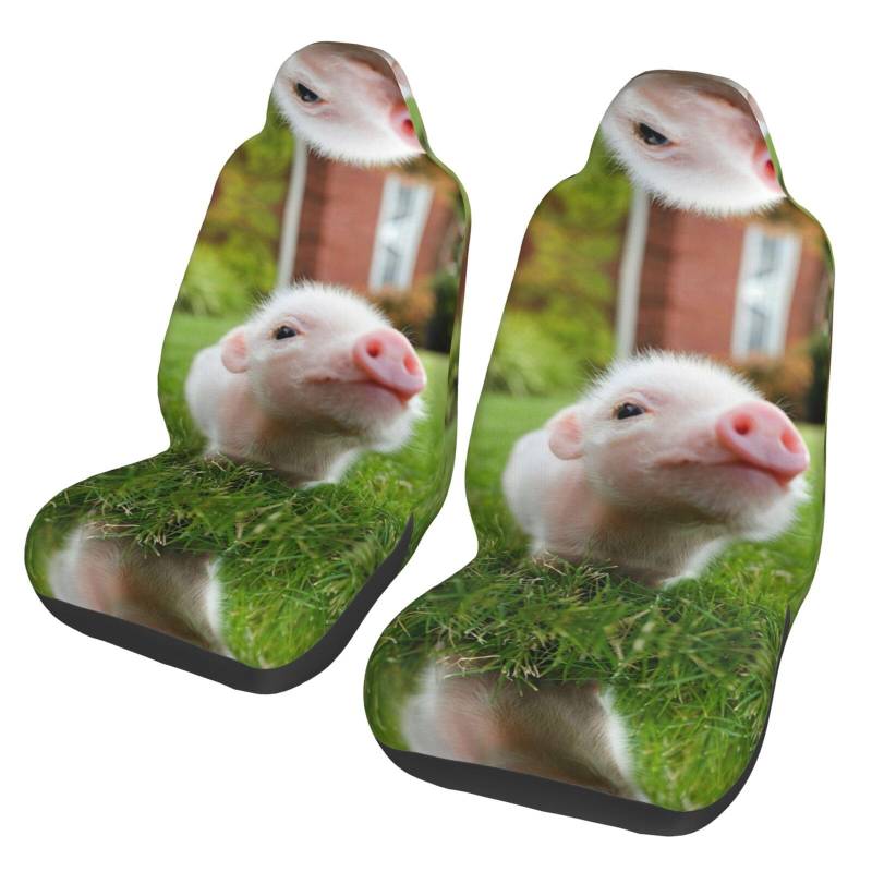 WYYDPPLK Naughty Pig Autositzbezüge mit Volldruck-Design, strapazierfähiges Polyester-Material, einfach zu installieren und zu reinigen, universelle Passform für Autos, SUVs, LKWs von WYYDPPLK