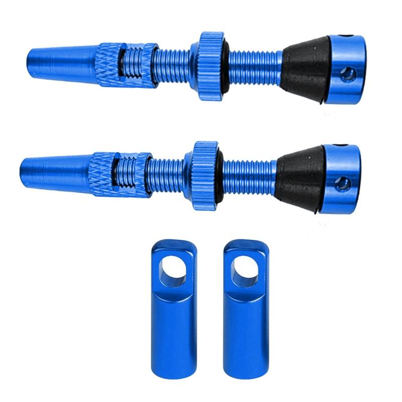 Tubeless Bikes Ventile Stammkits Mit Integriertem Wert Kernen Entfernerwerkzeug Und Ventile Stammkappen 60 Mm Tubeless Wertstamm von WZBHCZLJ