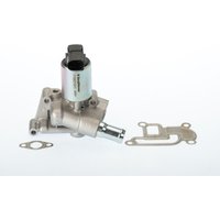 AGR Ventil WAHLER 710831D von Wahler