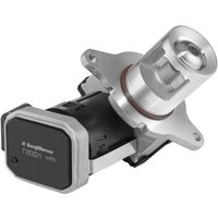 AGR Ventil WAHLER 7353D von Wahler