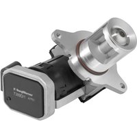 AGR Ventil WAHLER 7389D/1 von Wahler
