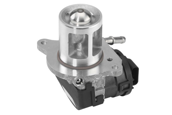 AGR-Ventil Wahler 710095D von Wahler