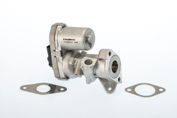 AGR-Ventil Wahler 711022D/1 von Wahler