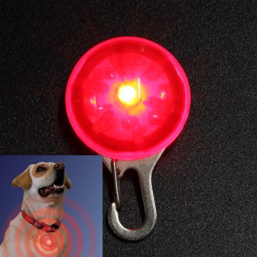 Water & Wood rot Hund Sicherheit LED-Licht Clip für Halsband Peg Katze Nacht von Water & Wood