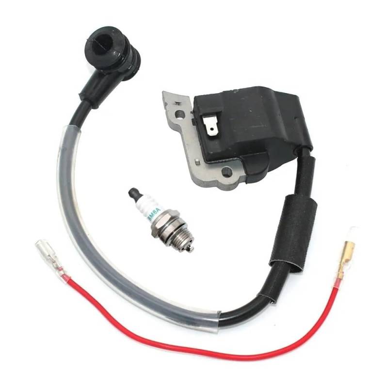 Zündspule passend für T261 T261B M230 M230B F230 T-250 C-250 C230 F21 T230 T230X T230XR T231 C230PT P230S A411000880 von WeZcHEN