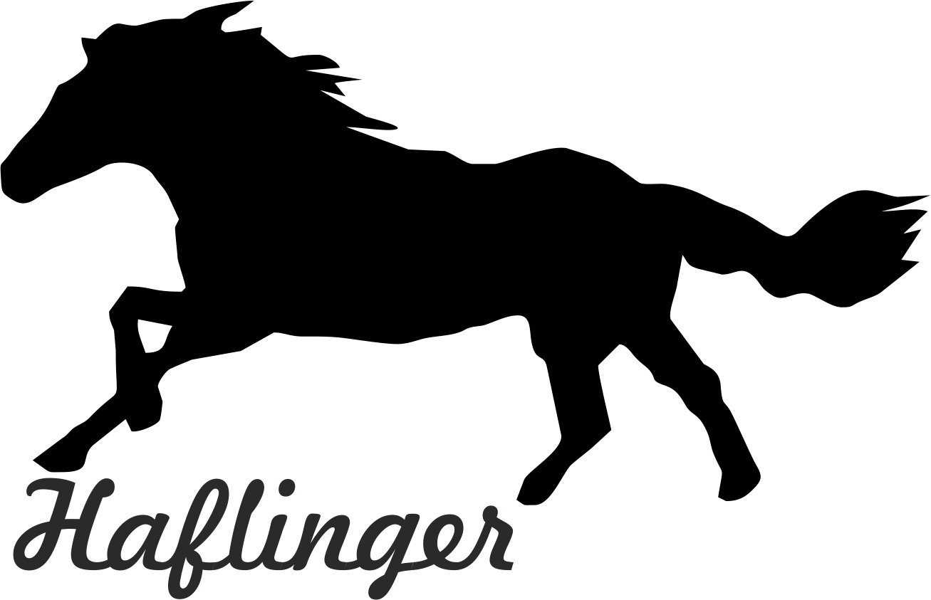 2x Auto Aufkleber " HAFLINGER " Pferd 2x Car Sticker Konturgeschnitten (ca. 11x7 cm) (Schwarz) von QOWRKRQ