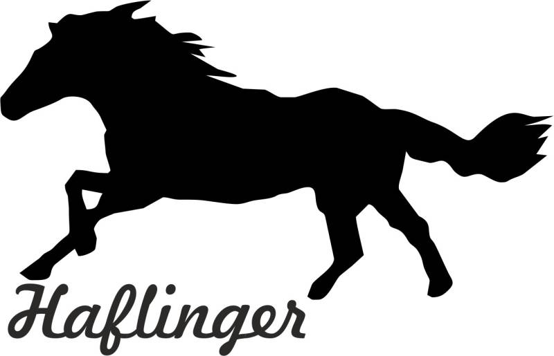2x Auto Aufkleber " HAFLINGER " Pferd 2x Car Sticker Konturgeschnitten (ca. 11x7 cm) (Schwarz) von QOWRKRQ