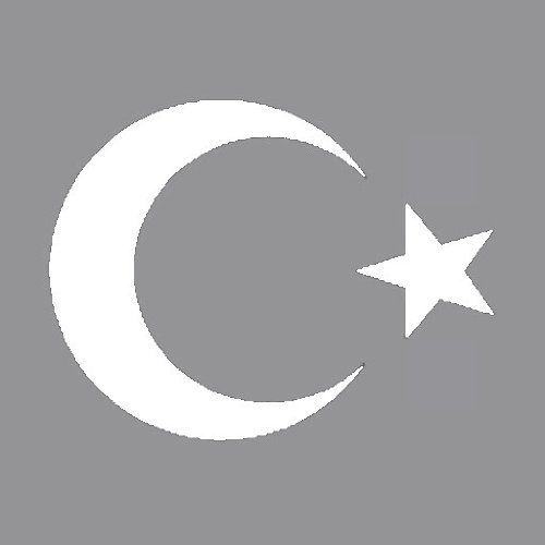 2X Auto Aufkleber Türkei Halbmond TÜRKIYE Car Sticker Turkey (ca. 11x10 cm, Weiss) von QOWRKRQ
