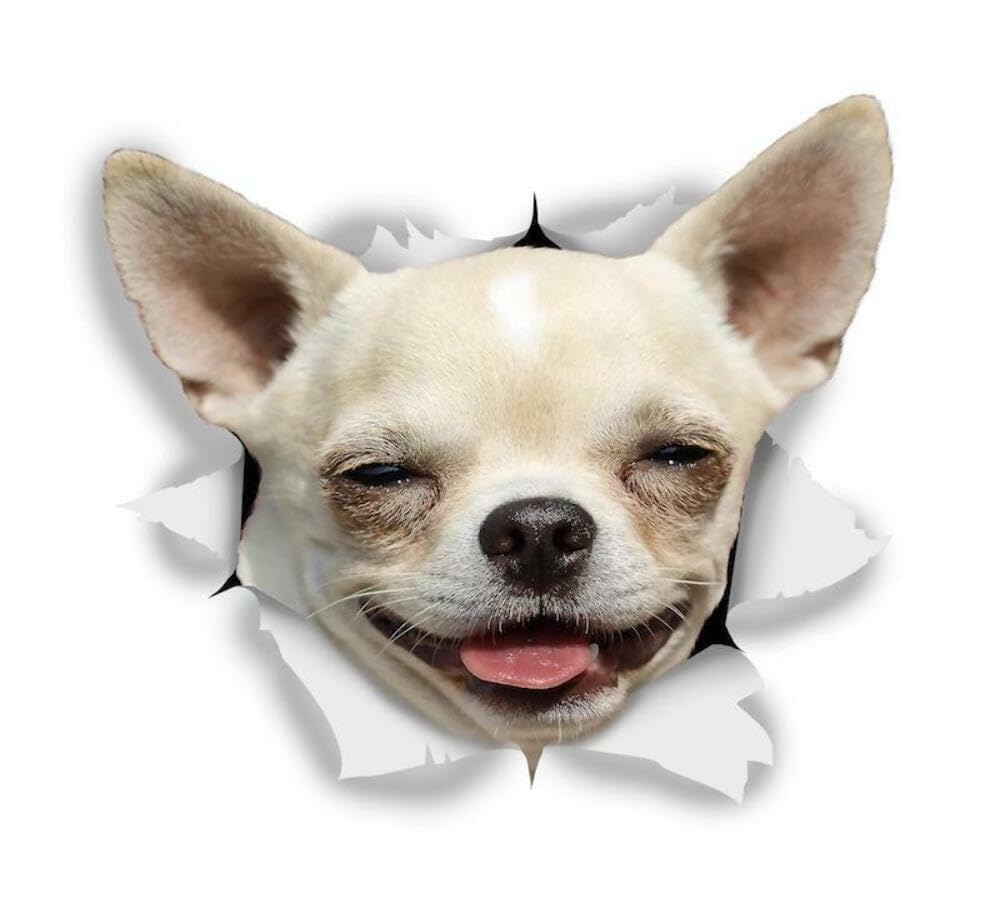 WildeBabsKLBT 15cm hochwertiger Aufkleber Sticker Decal Autoaufkleber glücklich Chihuahua Hund D785 3D-Effekt Rand Silber von WildeBabsKLBT