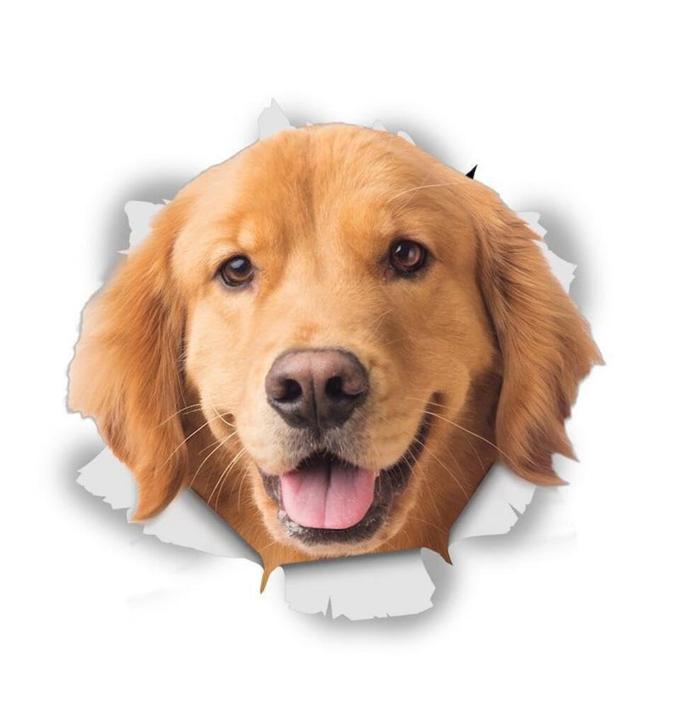 WildeBabsKLBT 15cm hochwertiger Aufkleber Sticker Decal Autoaufkleber glücklich dunkel-Hell-beige Golden Retriever Hund D774 3D-Effekt Rand Silber von WildeBabsKLBT