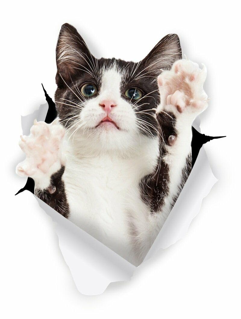 WildeBabsKLBT 15cm hochwertiger Aufkleber Sticker Decal Autoaufkleber schwarz weiß fängt Tuxedo Cat Katze D813 3D-Effekt Rand Silber WildeBabsKLBT 15cm hochwertiger Aufkleber Sticker Decal Autoaufkleber schwarz weiß fängt Tuxedo Cat Katze D813 3D-Effekt Rand Silber von WildeBabsKLBT