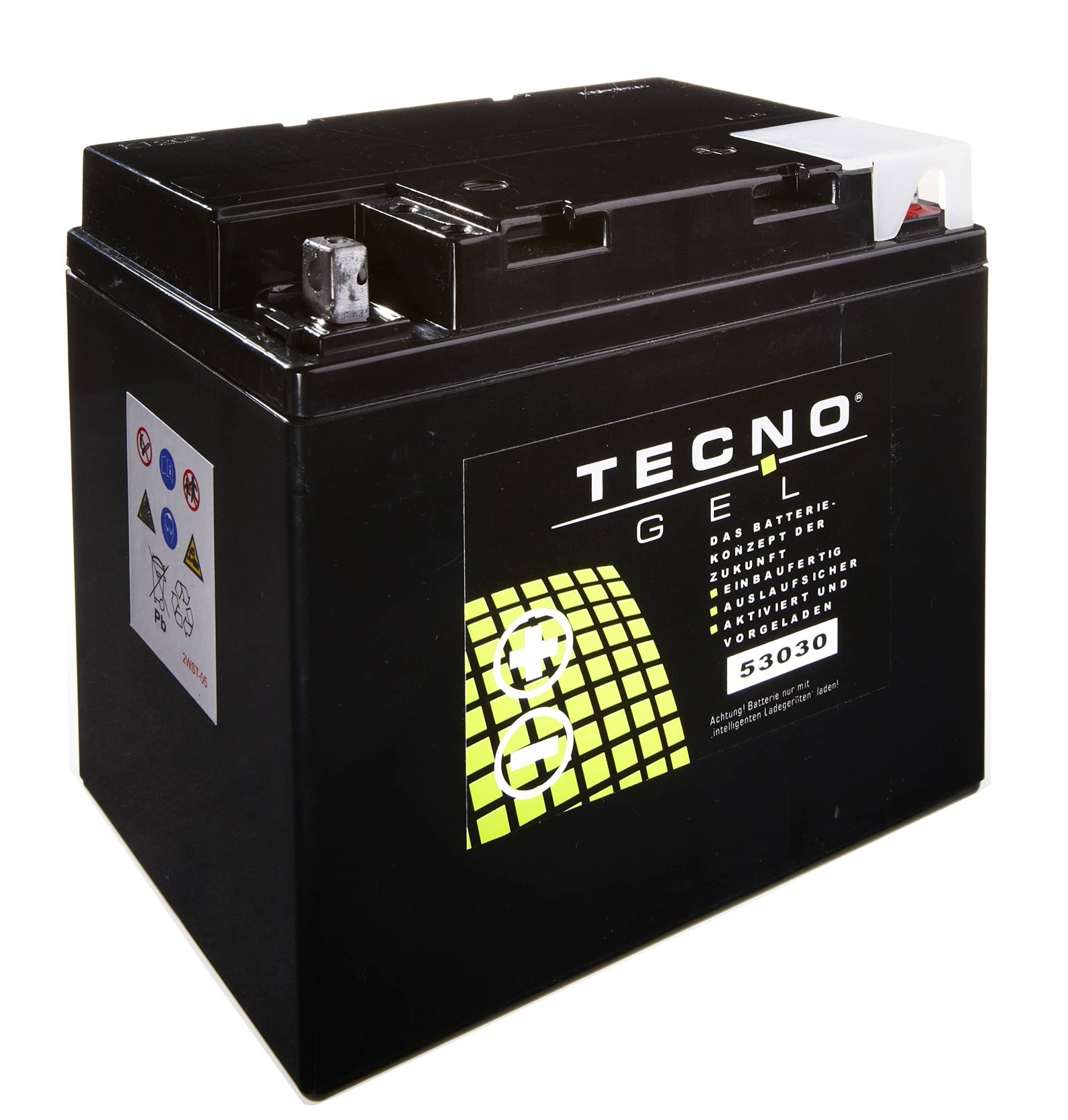 TECNO-GEL Motorrad Qualitäts Batterie 53030 für MOTO GUZZI Nevada 750, Club 1989-2004, 12V Gel-Batterie 30Ah, 187x130x170 mm von Wirth-Federn