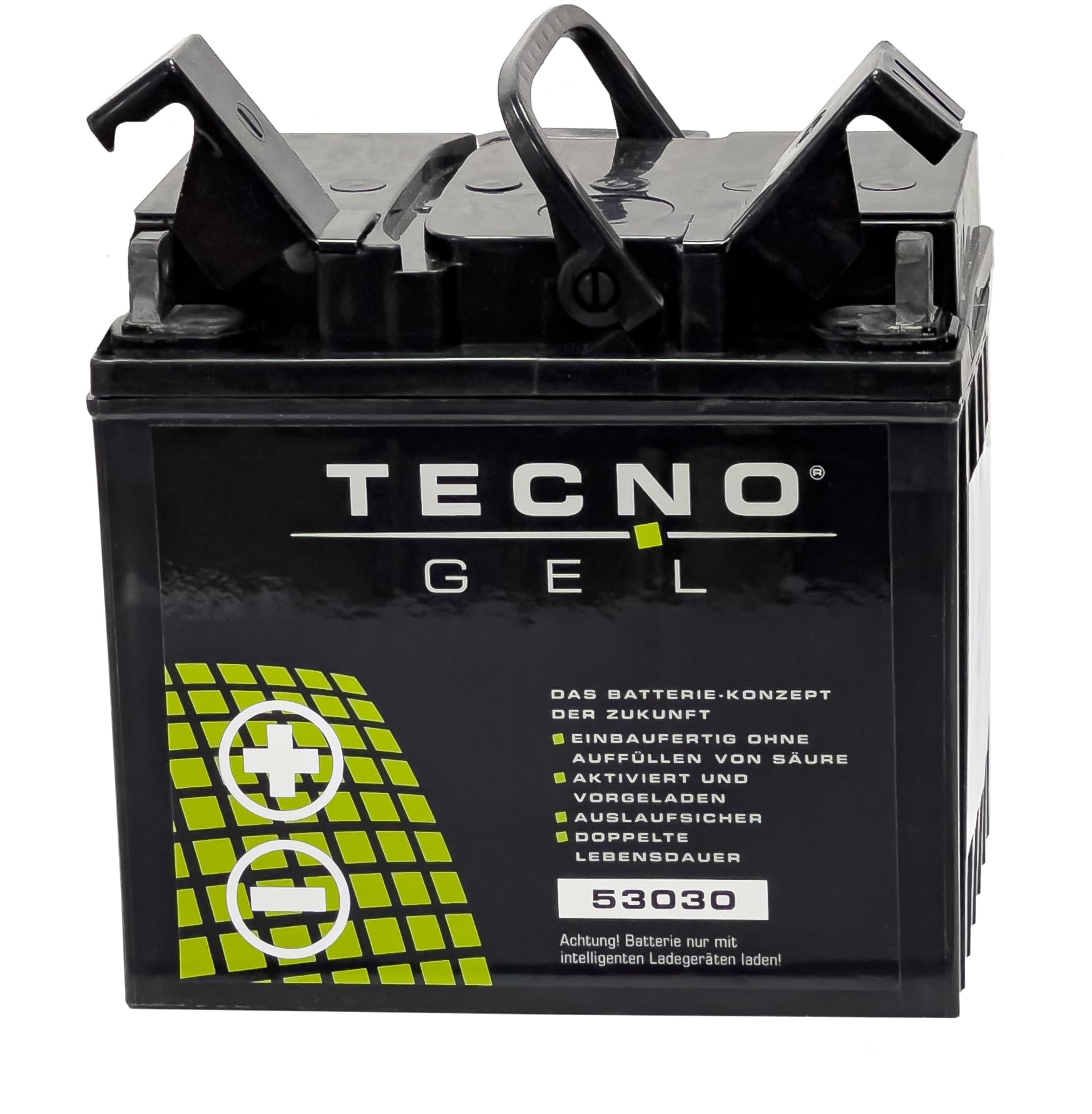TECNO-GEL Motorrad Qualitäts Batterie 53030 für MOTO GUZZI T 850, T3, T4, T5 1973-1989, 12V Gel-Batterie 30Ah, 187x130x170 mm von Wirth-Federn
