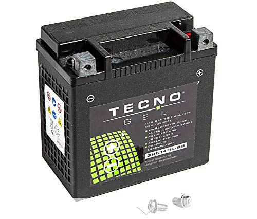 Premium TECNO-GEL Motorrad-Batterie HD14HL-BS = VTB-3 TWIN für HARLEY DAVIDSON XR 1200, X 2008-2012, 12V Gel-Batterie 12Ah, 149x87x144 mm von Wirth-Federn