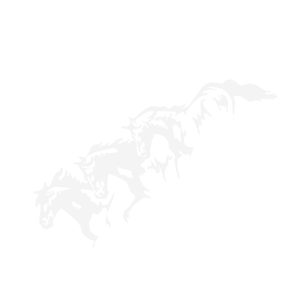 Wooauto 3D Pferd Cartoon Lustige Auto Aufkleber, Pferd Pferdekopf Sticker Selbstklebende Auto Styling Aufkleber Seitenaufkleber Tier Riss Auto Aufkleber für Auto Fenster Motorhaube,25x8cm,Weiß von Wooauto