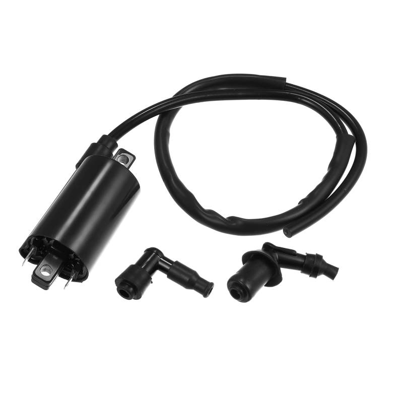 X AUTOHAUX 1 Satz Auto Zündspule AM120732 Schwarz Ersatz von X AUTOHAUX