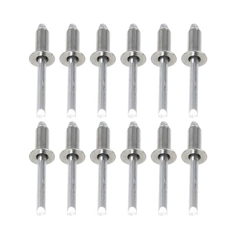 X AUTOHAUX 12 STK.M6 304 Edelstahl Blindnieten Sortiment 16x6.4mm(L*D) für blindnietzangen von X AUTOHAUX
