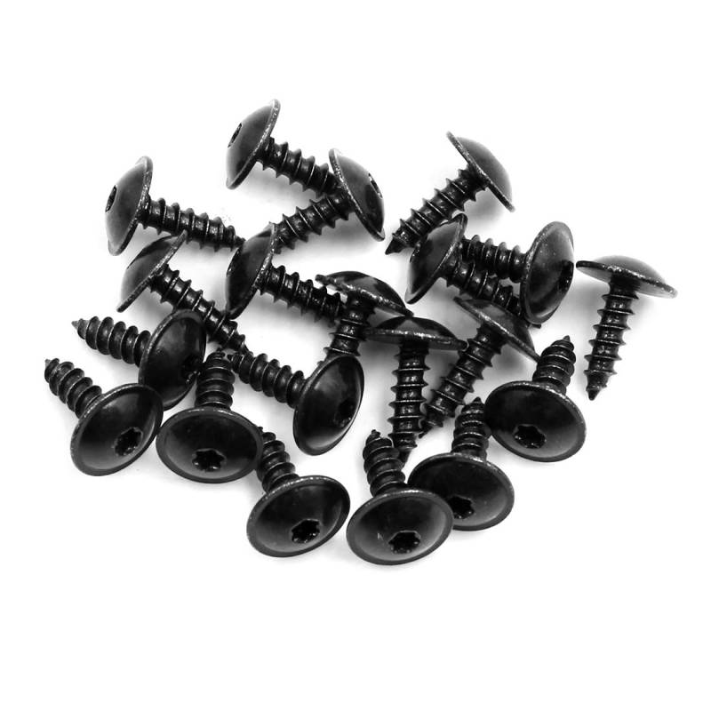 X AUTOHAUX 20 Stück 5 x 19,2 mm Edelstahl-Schrauben für Auto-Stoßstange und Nummernschild. von X AUTOHAUX