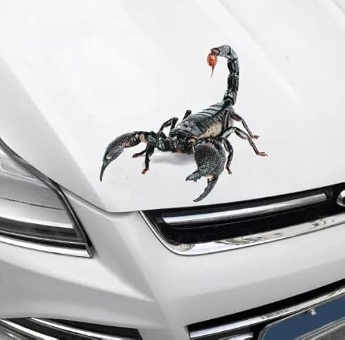 3D Aufkleber Spinne Scorpion Echse Statement Auto XCBW 3D Sticker(Scorpion) von XCBW