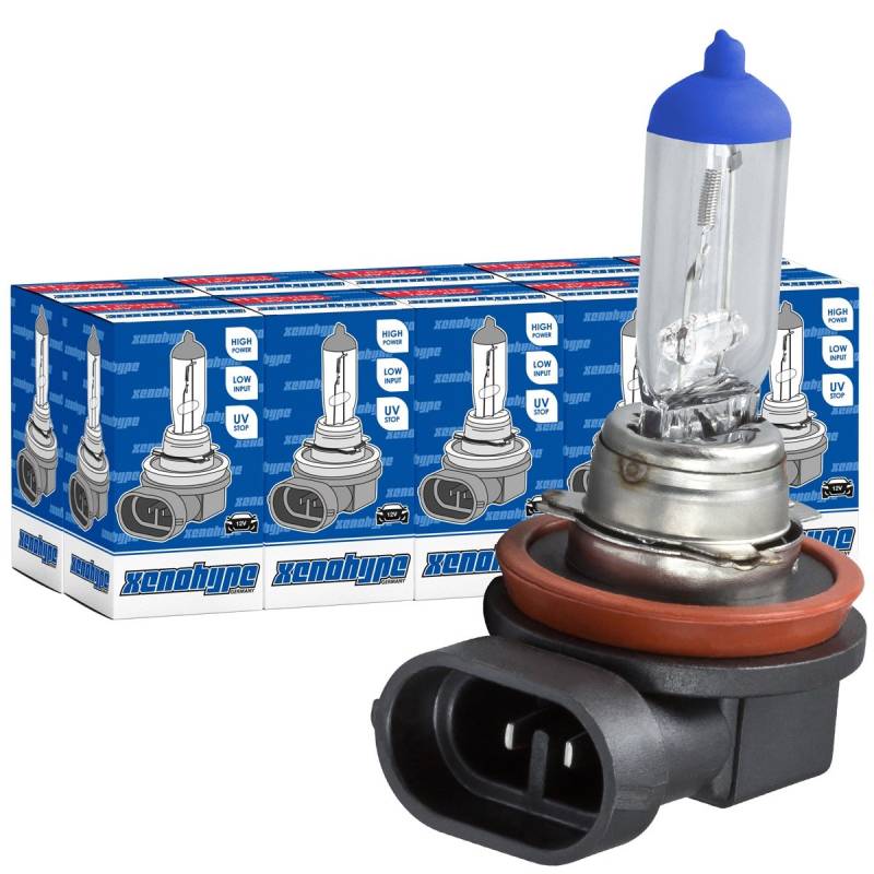 XENOHYPE 10x H11 Classic Halogen Auto Lampe 12V 55 Watt PGJ19-2 von XENOHYPE