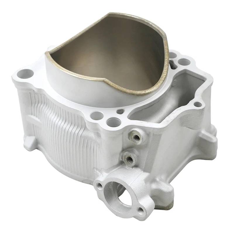 Motorrad 95 mm Luftzylinder & Kolbenringe & Dichtungssatz for YZ450F 2006-2009 WR450F 2007-2011 YZ450 WR450 F WR YZ 450(Cylinder) von XJFXXJIY