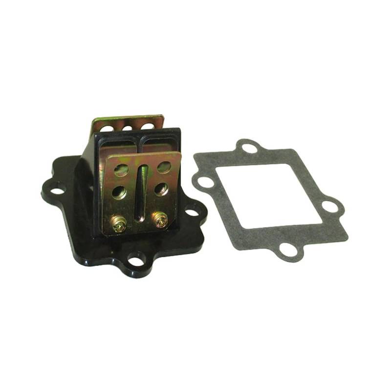 XLJOY Vergaser-Reed-Ventilkäfig und Ansaugkrümmer-Reed-Ventildichtung für Alpha Sports 90 Kolt 90 LG Cobra 90 von XLJOY